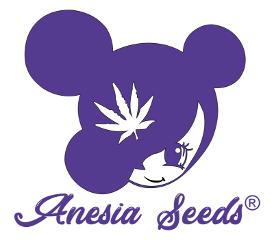 картинка Auto Sleepy Joe от магазина Semki
